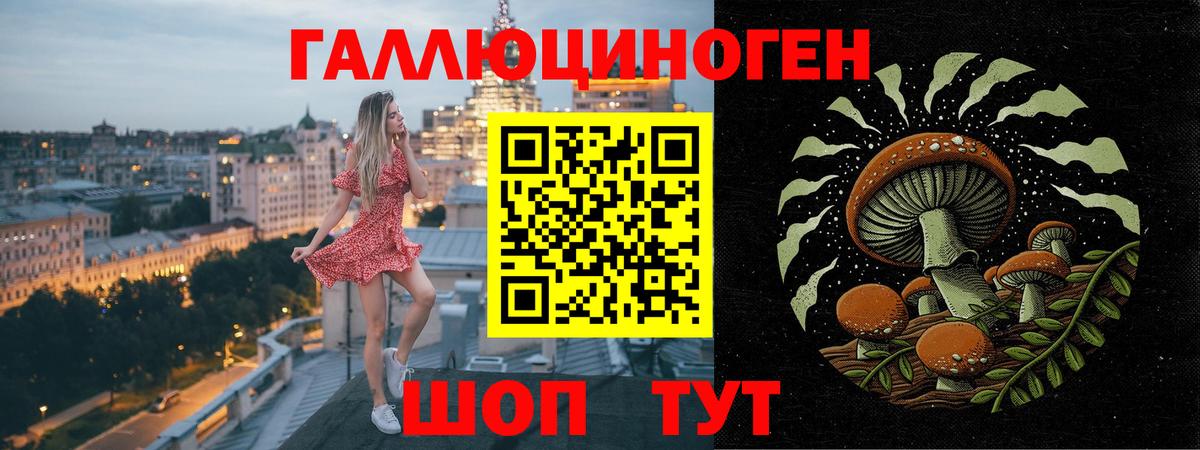 Галлюциногенные грибы мицелий Касимов