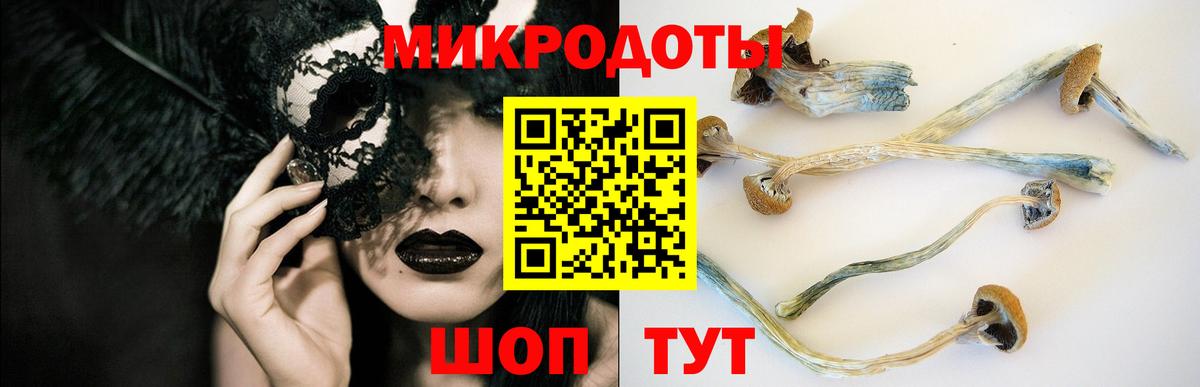 Галлюциногенные грибы мицелий  Псилоцибиновые грибы Psilocybine cubensis  Вход с VPN  где купить наркотик  Касимов 