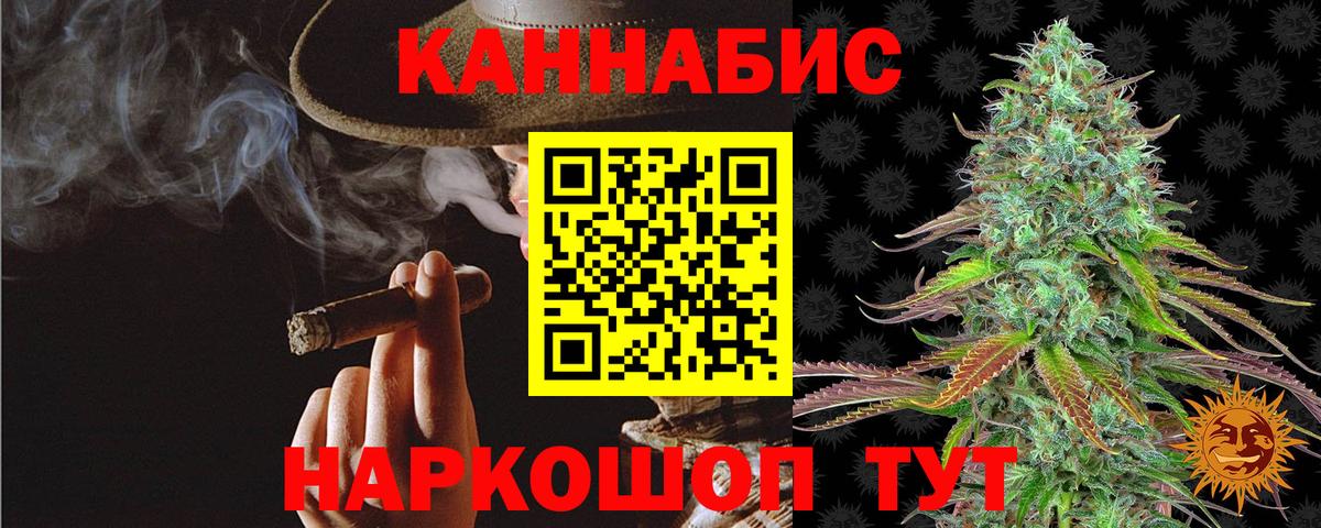 Канабис сатива Касимов